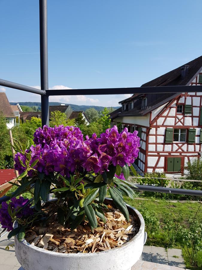 Garni-Hotel Muehletal Stein Am Rhein Εξωτερικό φωτογραφία