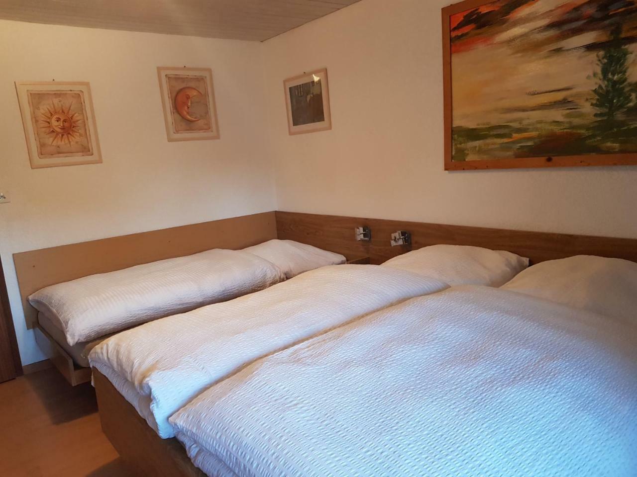 Garni-Hotel Muehletal Stein Am Rhein Εξωτερικό φωτογραφία