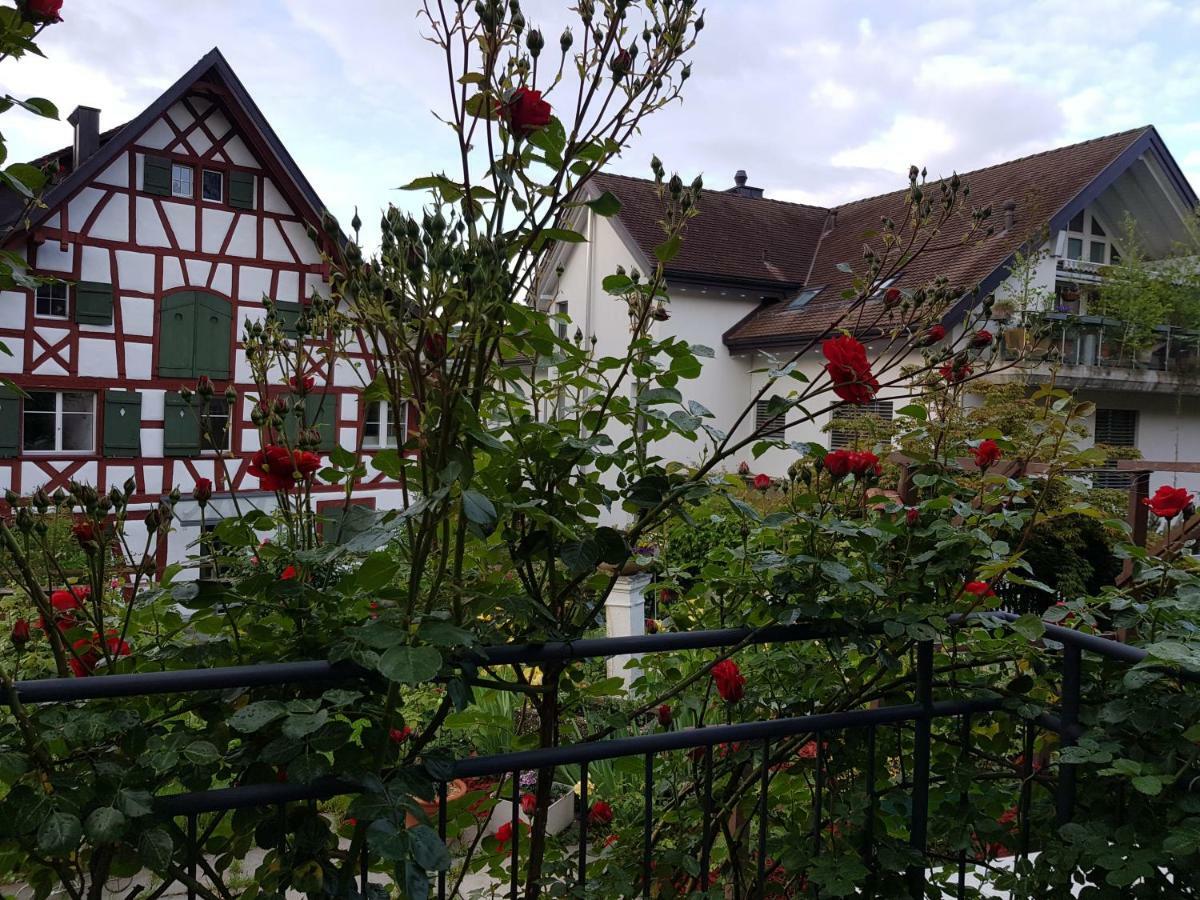 Garni-Hotel Muehletal Stein Am Rhein Εξωτερικό φωτογραφία