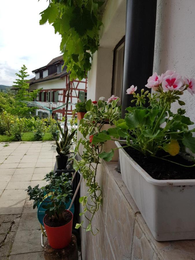 Garni-Hotel Muehletal Stein Am Rhein Εξωτερικό φωτογραφία