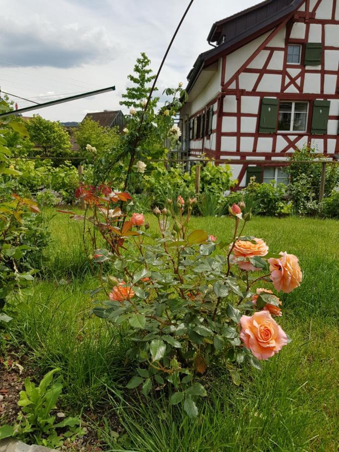 Garni-Hotel Muehletal Stein Am Rhein Εξωτερικό φωτογραφία